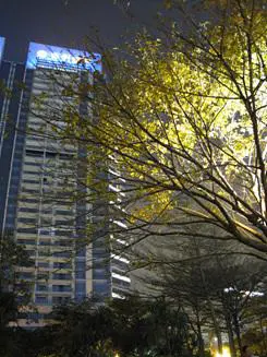 迷人金属卡片相机佳能IXUS95IS评测(10)