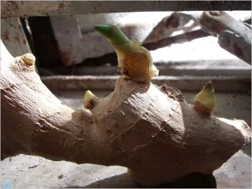 功能全面高性价比通用旗舰E1050TW评测(7)