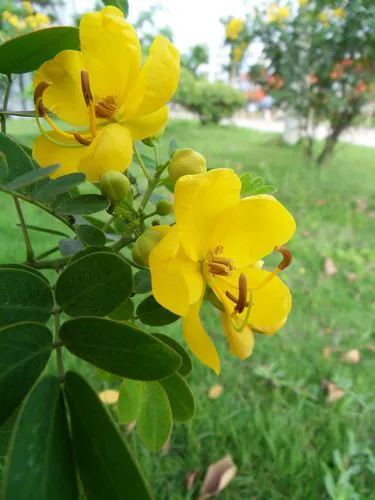 超广角高清 10倍光变三星WB550评测