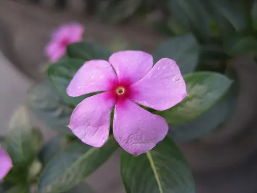 迷人金属卡片相机佳能IXUS95IS评测(9)