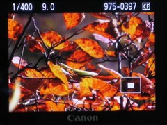 外续传承-内蕴革新 佳能50D详测报告