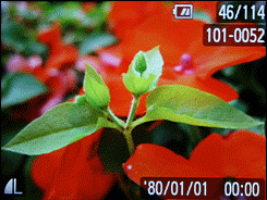 迷人金属卡片相机佳能IXUS95IS评测(4)