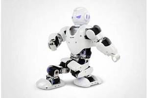 阿尔法智能人形机器人  最亲密的“人”比你自己更懂你