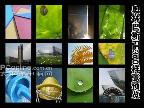 朴实无华5倍光变奥林巴斯FE-370评测