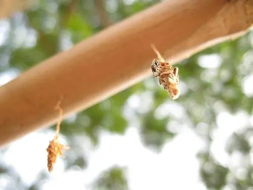 时尚可爱不乏精致小巧佳能E1详尽评测(11)