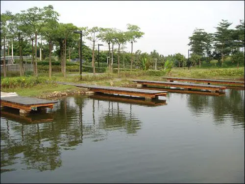 高清录像卡片机时尚索尼T500全面评测(9)