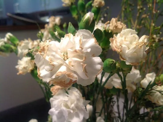 新款iPad评测得分9.3分 仍遥遥领先于对手