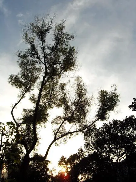 乐趣触摸拍摄体验3寸大屏明基T850评测(9)