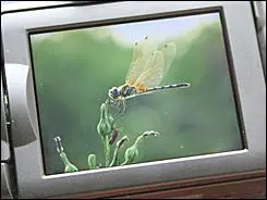 压倒性长焦力量20倍光变佳能SX10IS评(6)