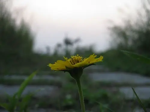 时尚可爱不乏精致小巧佳能E1详尽评测(11)