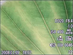 朴实无华5倍光变奥林巴斯FE-370评测(5)