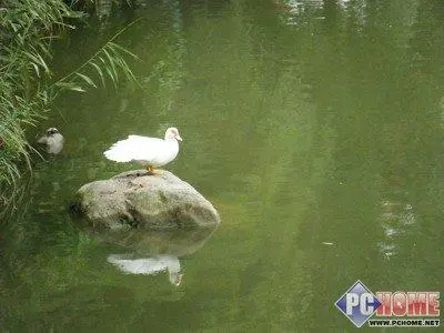 出色的成像能力索尼富士全面PK评测(8)