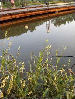 秀外慧中的选择尼康便携S710综合评测(13)