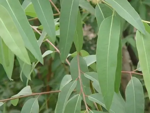 高清录像卡片机时尚索尼T500全面评测(12)