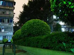 实用长焦再升级佳能SX110IS功能评测(17)