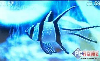 支持摄像头功能的PMP驰为S800+评测(5)