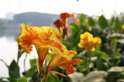 以画质取胜入门单反佳能1000D深度评测(21)