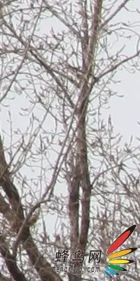 副厂镜头不副适马24-70F/2.8HSM评测(8)