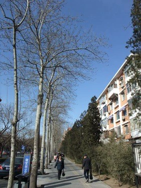 口袋中的高画质DC 富士F200EXR评测首发 