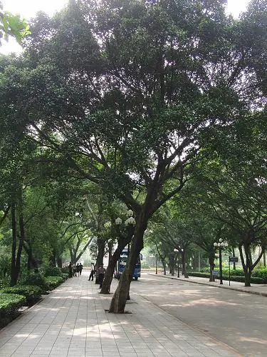 30张每秒高速连拍卡西欧长焦FC100评测(4)