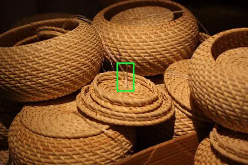 骨子里的强悍佳能升级版单反50D评测(12)