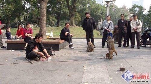 精致小巧时尚卡片DC索尼T500详细评测(6)