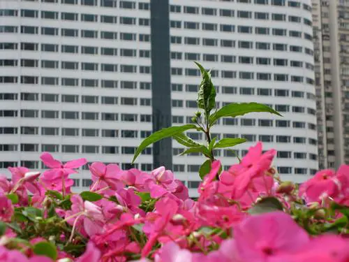 宽屏高清大广角佳能IXUS110IS评测(9)