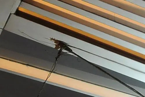 可拍摄视频的数码单反尼康D90详尽评测(17)