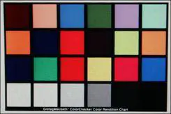 谁主沉浮佳能450D、50D与尼康D90对比(11)