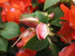 宽屏高清大广角佳能IXUS110IS评测(10)