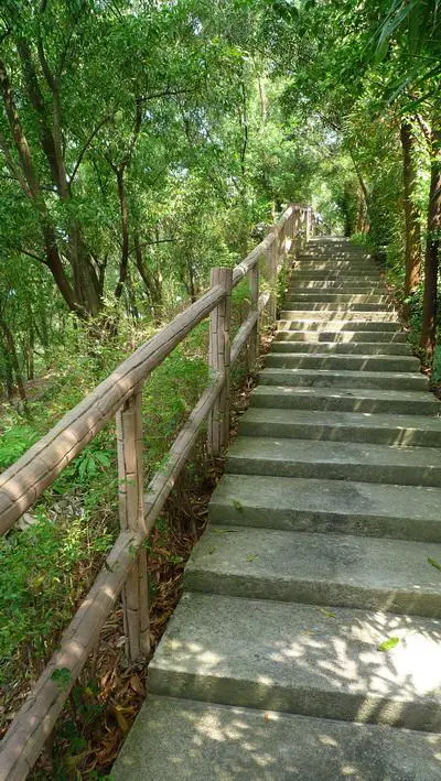 实用度继续上升25mm广角松下FX38评测(8)