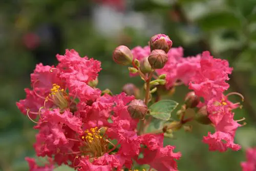 以画质取胜入门单反佳能1000D深度评测(18)