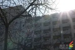 副厂镜头不副适马24-70F/2.8HSM评测(9)