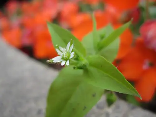 宽屏高清大广角佳能IXUS110IS评测(8)