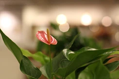 骨子里的强悍佳能升级版单反50D评测(18)