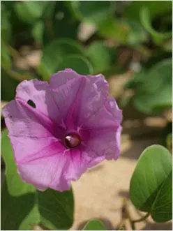 单反原来可以这样小奥林巴斯E420评测(19)