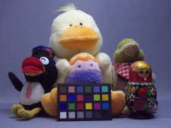 点击放大此图片