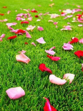 便携DC王 可换镜头奥林巴斯E-P1评测