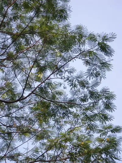 μ系卡片DC闪亮变身奥林巴斯μ1040评测(11)