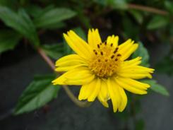 金属机身时尚卡片DC索尼T700详细评测(18)