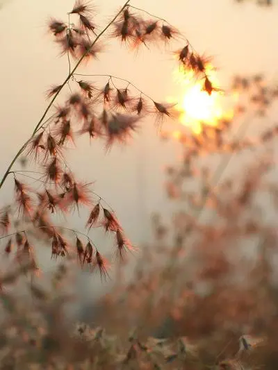 时尚可爱不乏精致小巧佳能E1详尽评测(9)