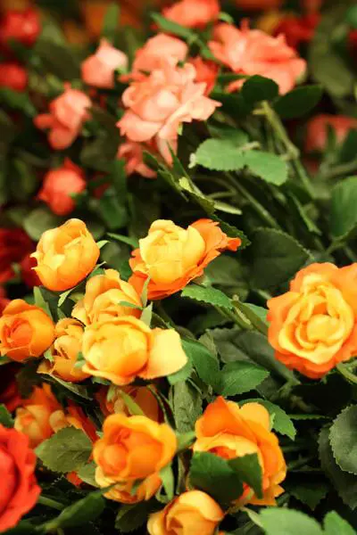 谁主沉浮佳能450D、50D与尼康D90对比(25)