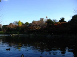 点击放大此图片