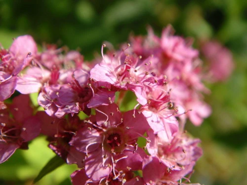 时尚代言内外兼修 奢华卡片索尼T700评测 时尚代言内外兼修 奢华卡片索尼T700评测