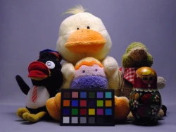 点击放大此图片