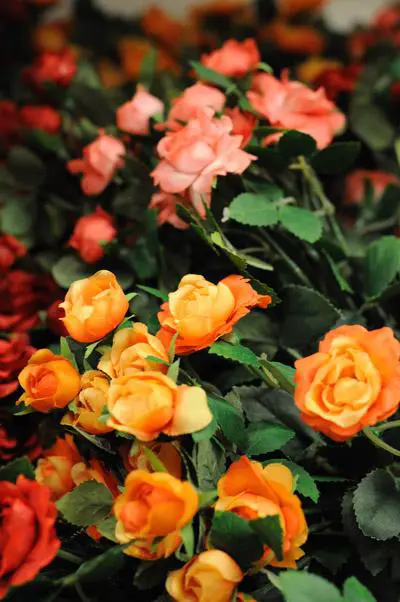 谁主沉浮佳能450D、50D与尼康D90对比(25)