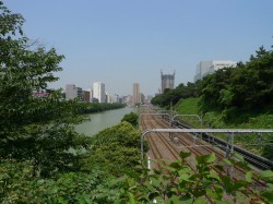 点击放大此图片