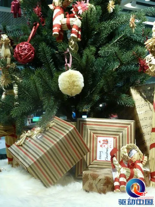 掌控在你手 松下SZ5远程拍试用评测