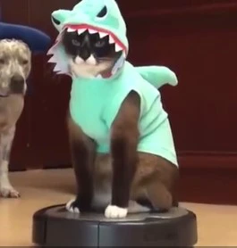 批注 2019-12-05 133119.jpg