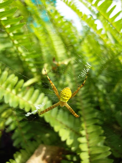 三星NV100HD评测 三星NV100HD评测